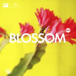 covers various spotifyblossom