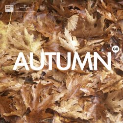 covers various spotify autumn